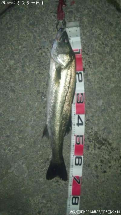 �����Х�