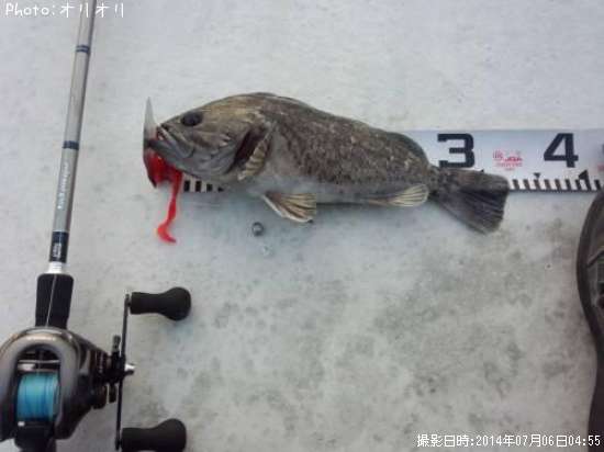 �����ʥ�