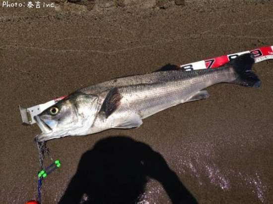 �����Х�