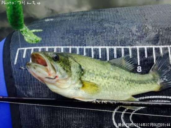 �֥�å��Х�