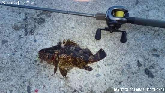 �٥å�������