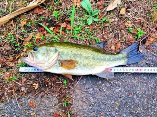 �֥�å��Х�