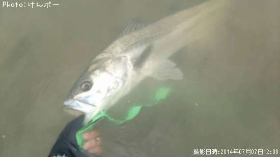 �����Х�