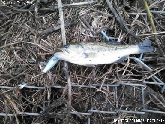 �֥�å��Х�