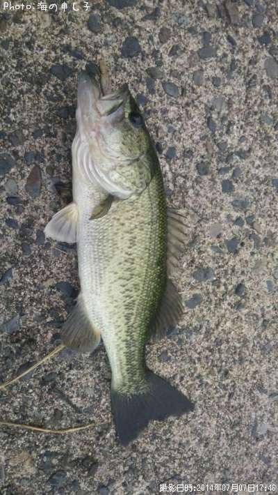 �֥�å��Х�