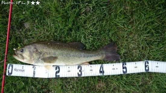 �֥�å��Х�