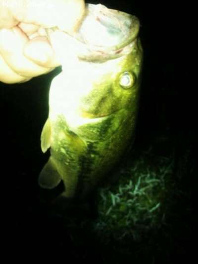 �֥�å��Х�