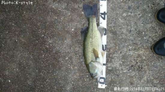 �֥�å��Х�