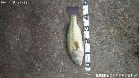 �֥�å��Х�