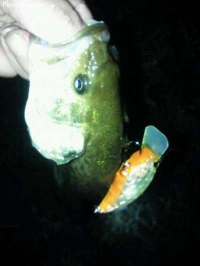 �֥�å��Х�