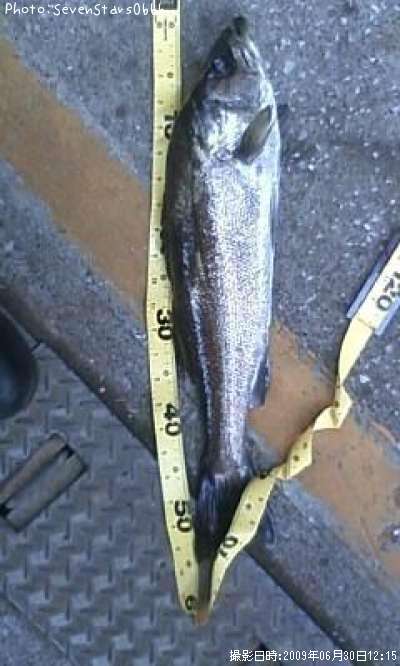 �����Х�