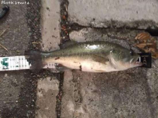 �֥�å��Х�