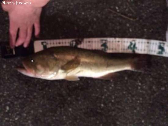 �֥�å��Х�