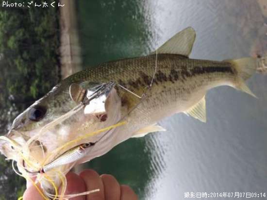 �֥�å��Х�