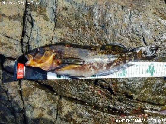 �����ʥ�