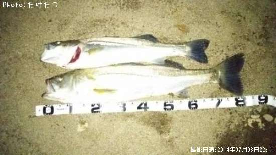 �����Х�