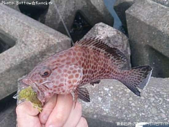 �������ϥ�