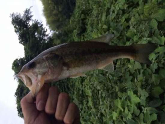 �֥�å��Х�