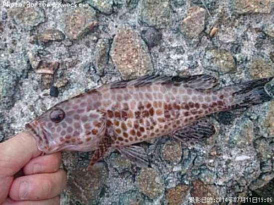 �������ϥ�