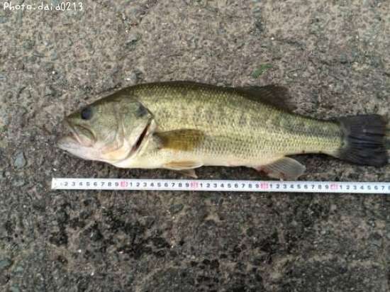 �֥�å��Х�