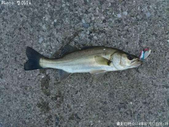 �����Х�