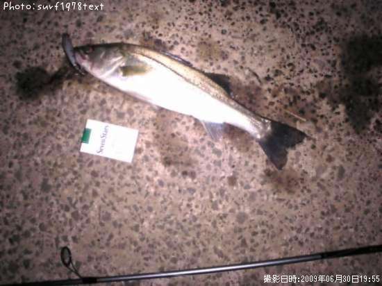 �����Х�