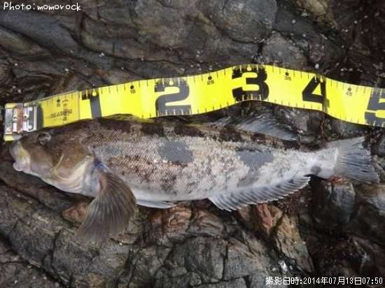 �����ʥ�