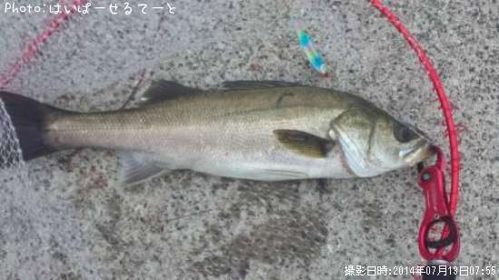 �����Х�