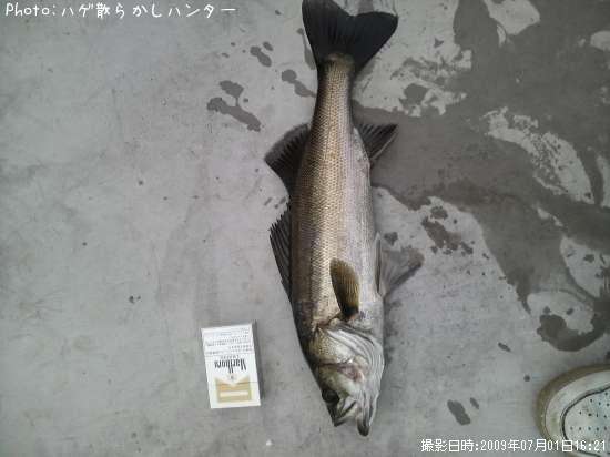 �����Х�