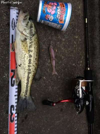 �֥�å��Х�