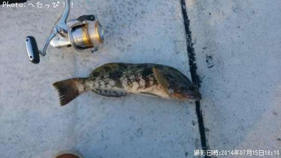 �����ʥ�