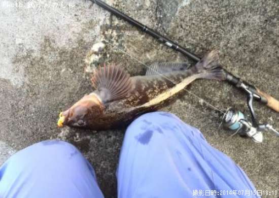 �����ʥ�