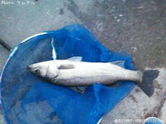 �����Х�