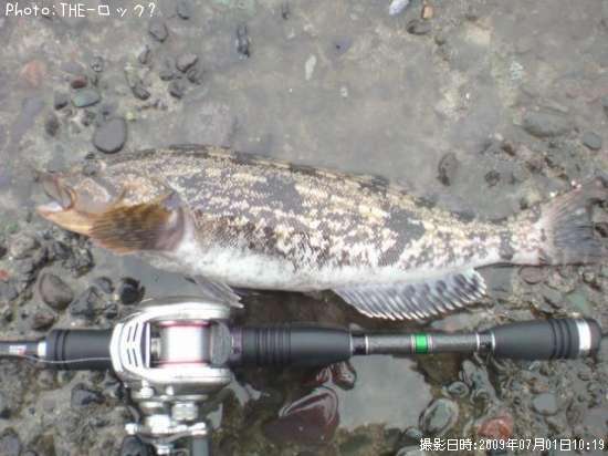 �����ʥ�