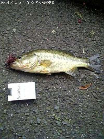 �֥�å��Х�