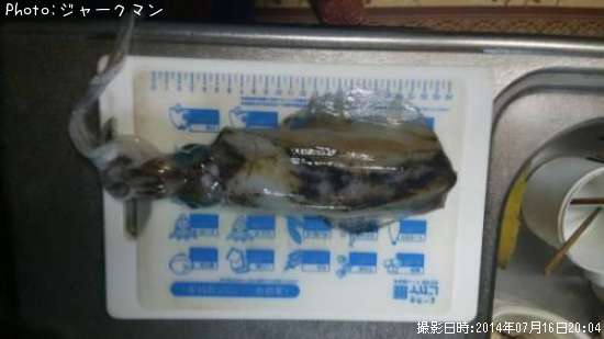 �����ꥤ��