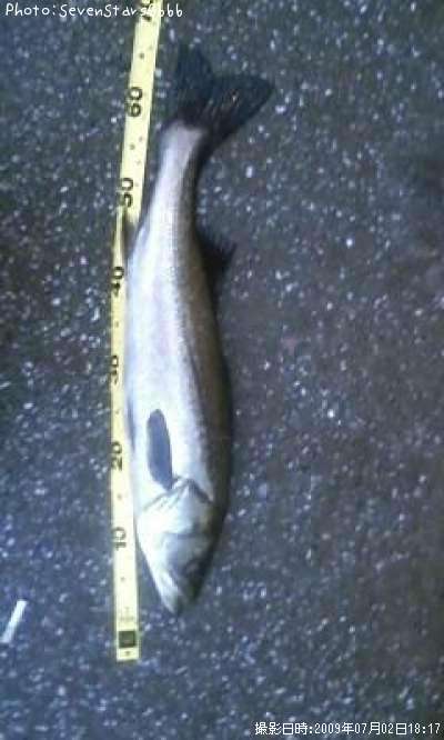 �����Х�