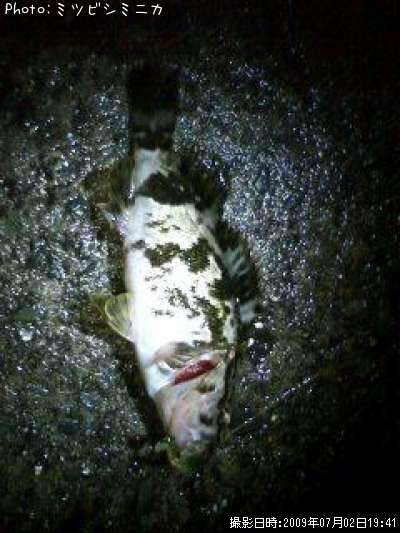 �����Υ���Х�