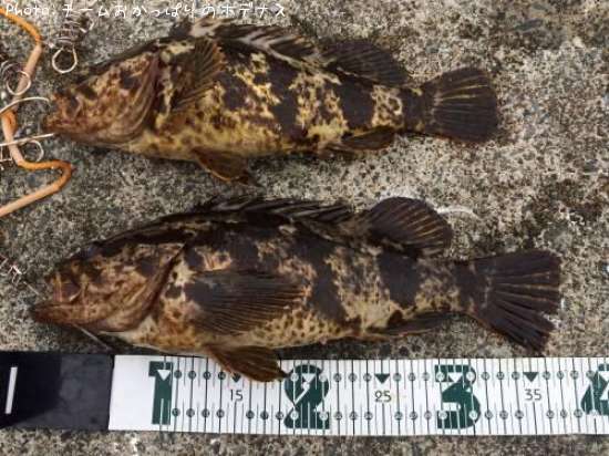 �����Υ���Х�