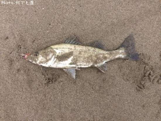 �����Х�