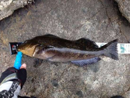 �����ʥ�