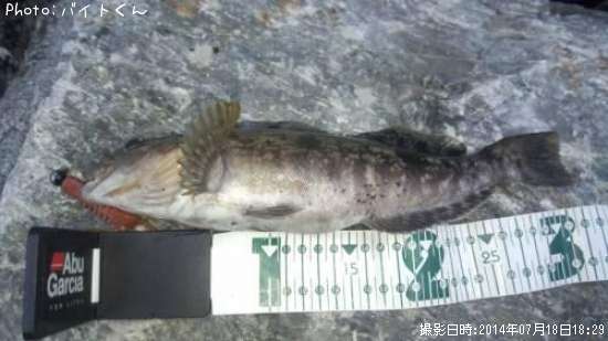 �����ʥ�