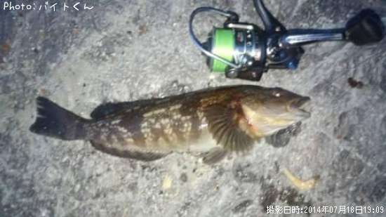 �����ʥ�