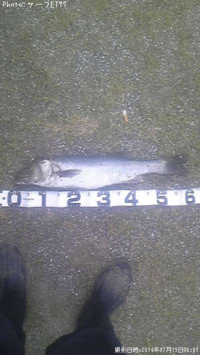 �����Х�