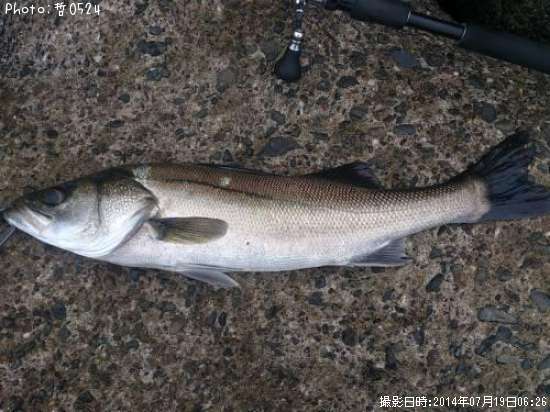 �����Х�