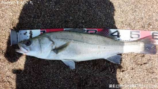 �����Х�