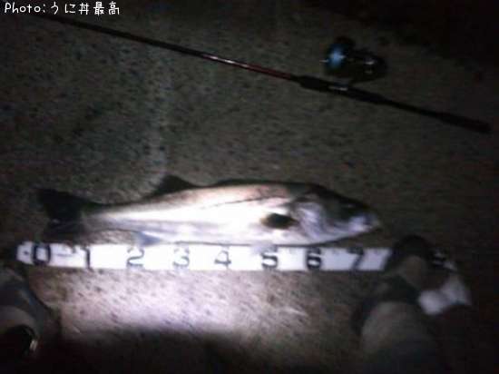 �����Х�