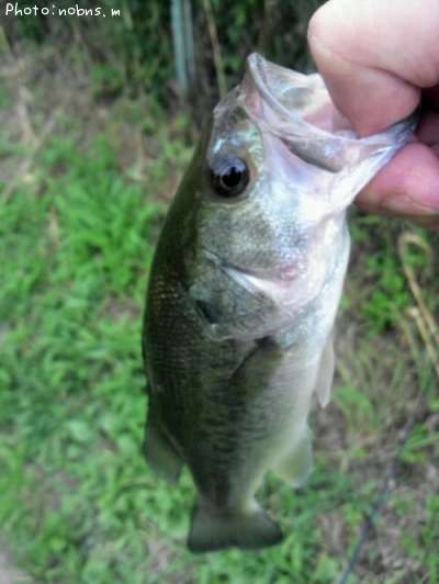 �֥�å��Х�