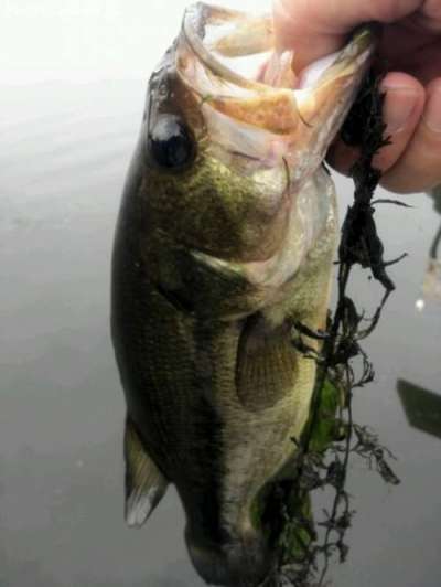 �֥�å��Х�