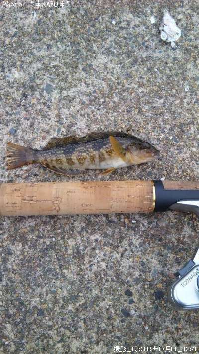 �����ʥ�